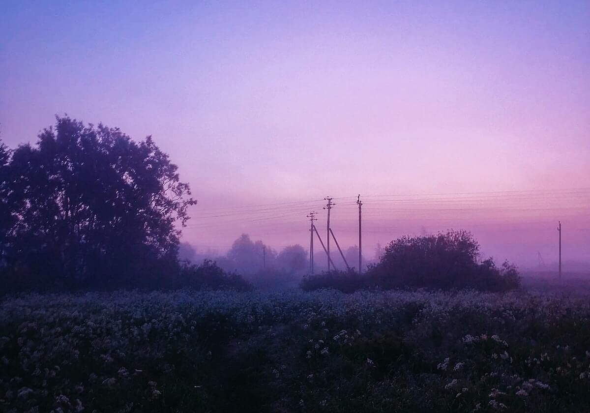 测试